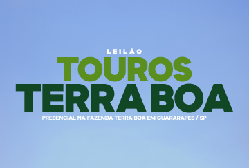 LEILÃO TOUROS TERRA BOA